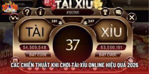 Các Chiến Thuật Khi Chơi Tài Xỉu Online Hiệu Quả Nhất 2026