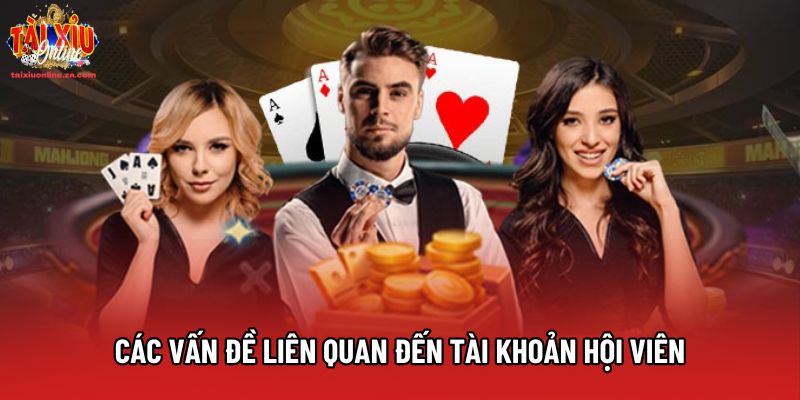 Các vấn đề liên quan đến tài khoản hội viên