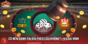 Có Nên Đánh Tài Xỉu Theo Cầu Không? - 4 Loại Hình Phổ Biến
