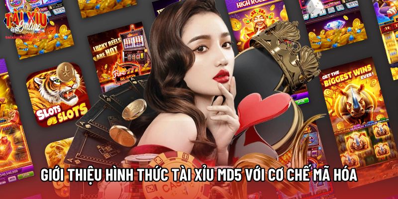 Giới thiệu hình thức Tài Xỉu MD5 với cơ chế mã hóa