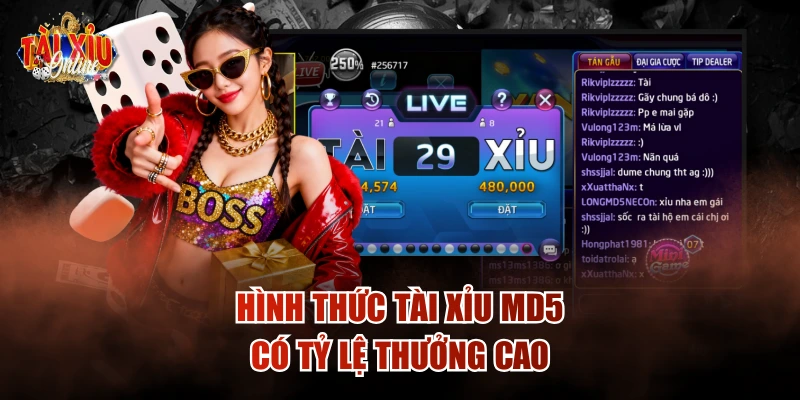 Hình thức tài xỉu MD5 có tỷ lệ thưởng cao