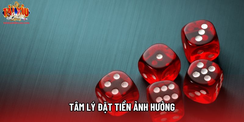 Tâm lý đặt tiền ảnh hưởng