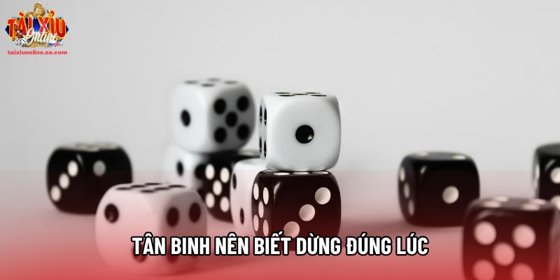 Tân binh nên biết dừng đúng lúc